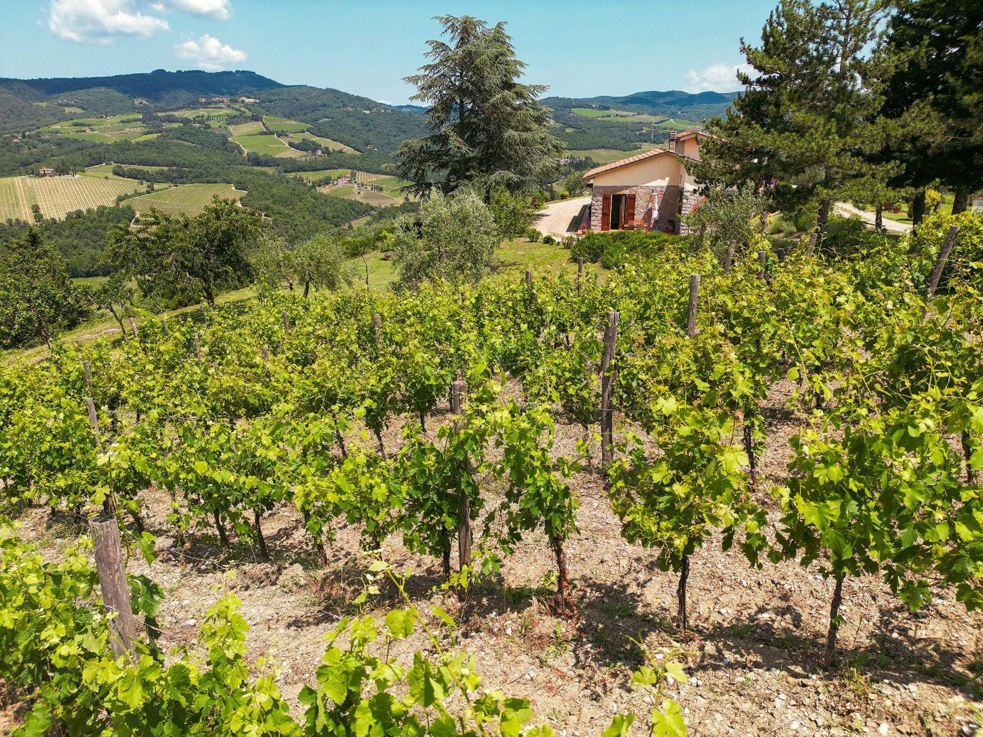 Tenuta Il Poggetto Radda in Chianti Εξωτερικό φωτογραφία