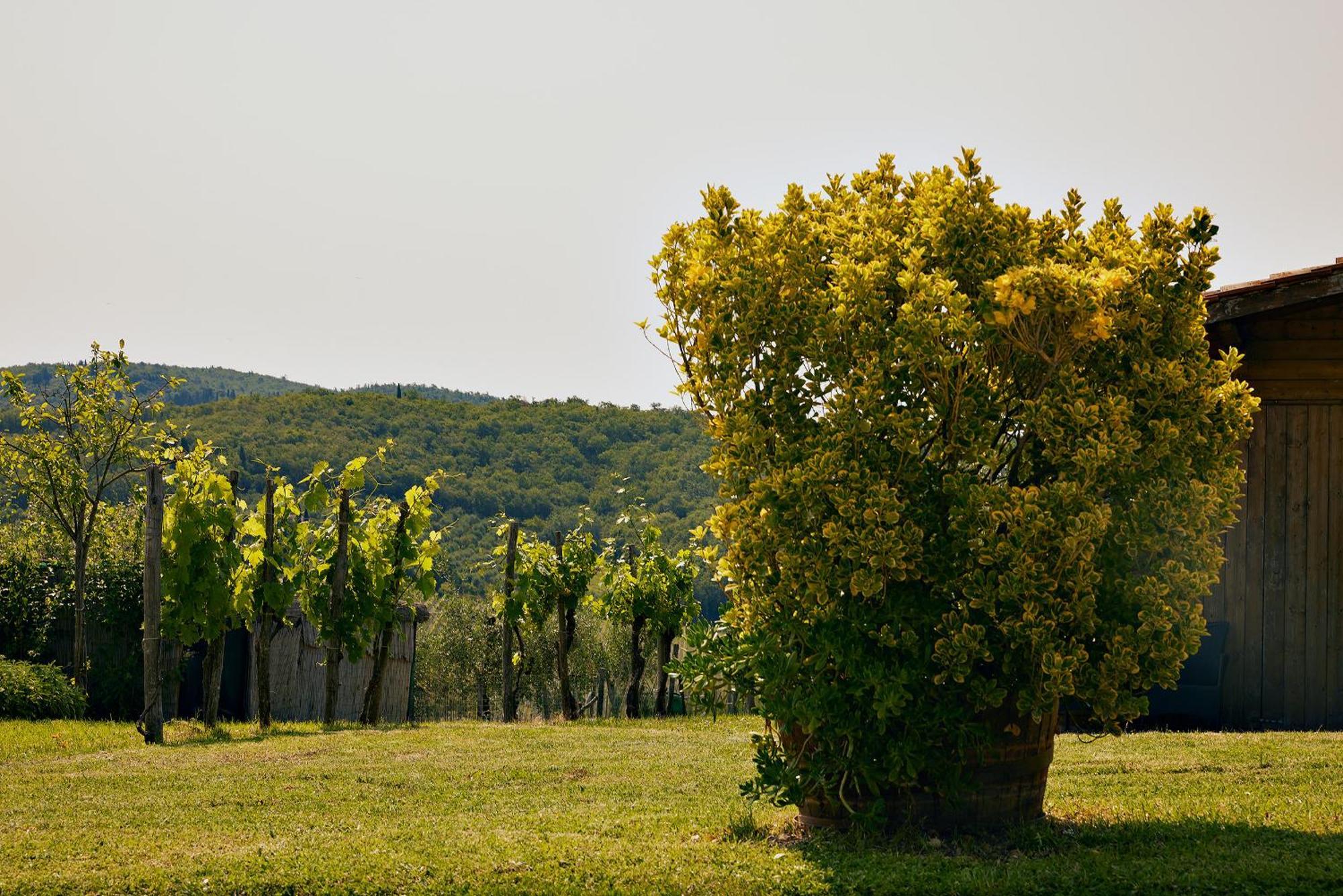 Tenuta Il Poggetto Radda in Chianti Εξωτερικό φωτογραφία