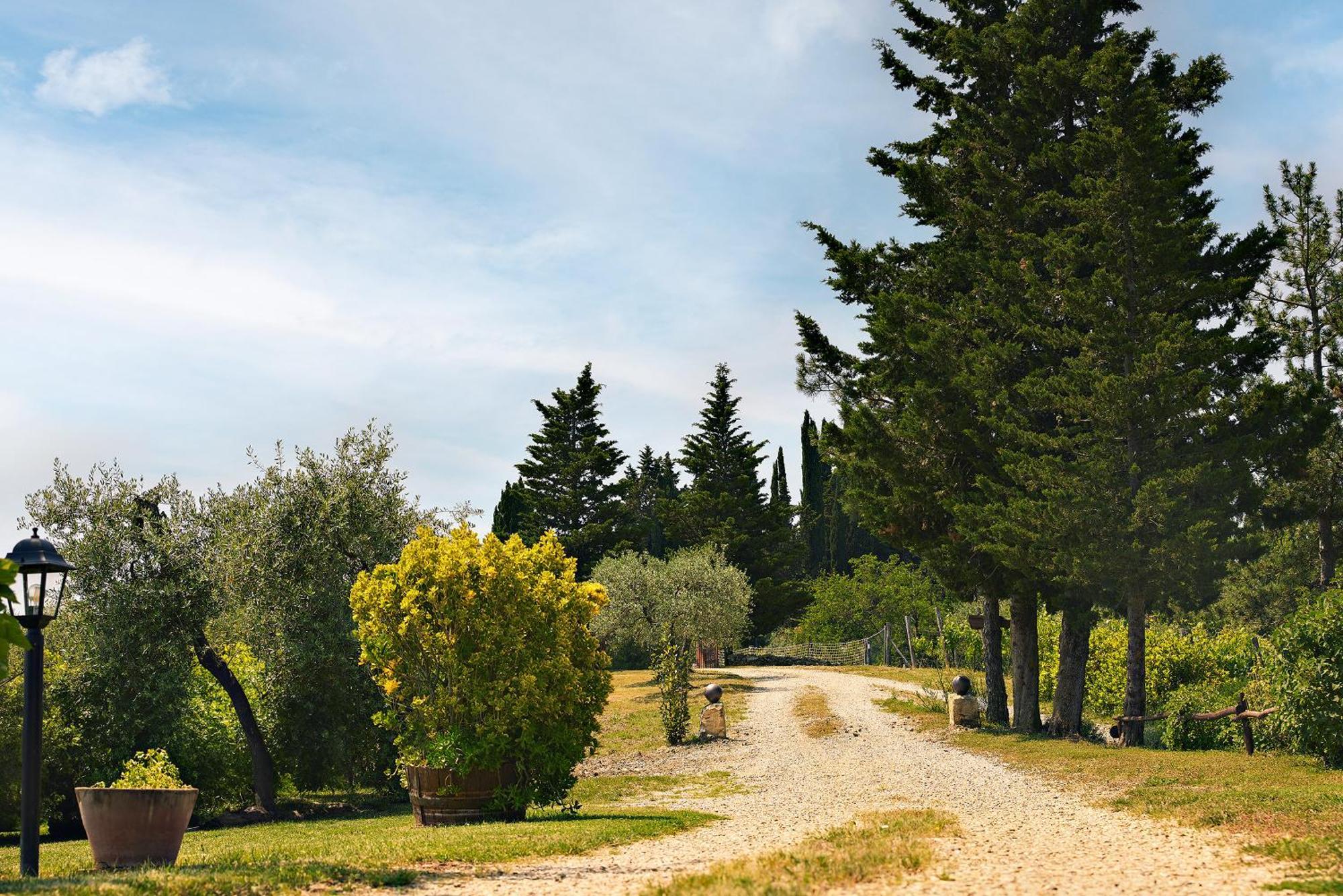 Tenuta Il Poggetto Radda in Chianti Εξωτερικό φωτογραφία