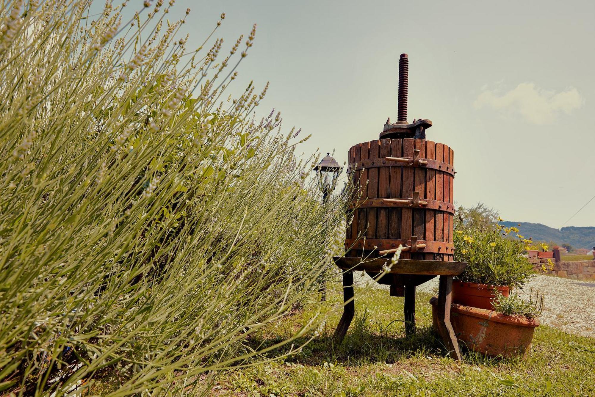 Tenuta Il Poggetto Radda in Chianti Εξωτερικό φωτογραφία